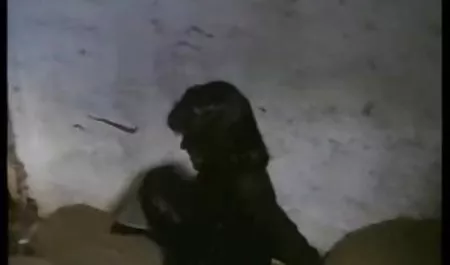 اوه سكس نار ام مع ابنها جدتي عاهرة