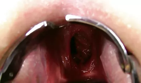 الدجاج مع شريك الجنس في شكس امهات قبلة عاطفي
