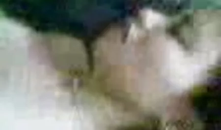 عبودية ارييل Instagram-جميع امهات محارم سكس