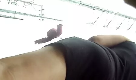 القذرة الفتيات الجنس الرقيق سكس ام وابن محارم