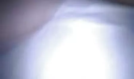 ملكة تحميل سكس امهات الأمازون