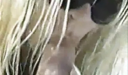 ملفات تعريف سكس ام وابن مترجم الارتباط للمرة الأولى